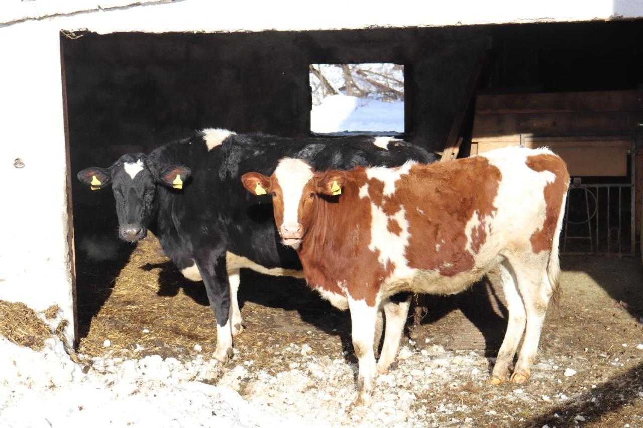 Bauernhof Pechhof *